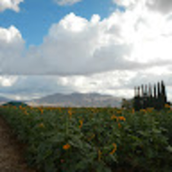 hethelm